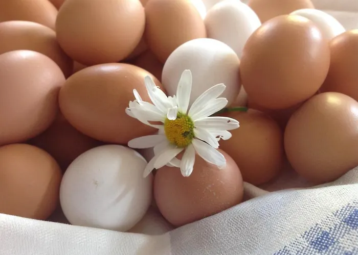 Landhaus-apartments Zajazd