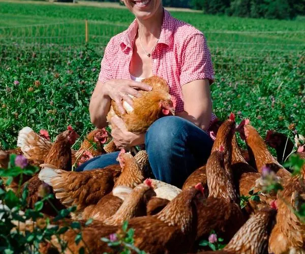 Landhaus-apartments * Wattenheim